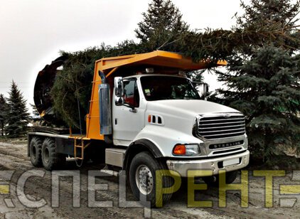 FORD для
                        пересадки