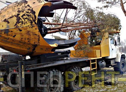 FORD для
                        пересадки